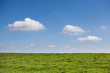 Photo: Sfondo cielo+erba Sfondo cielo+erba