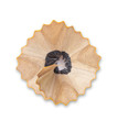 pencil shavings
