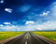 Road in blooming spring meadow