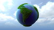 Unser grüner Planet Erde