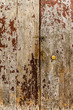 Slum door detail