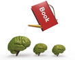 Regar con libro cerebro