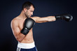 canvas print picture - Boxer