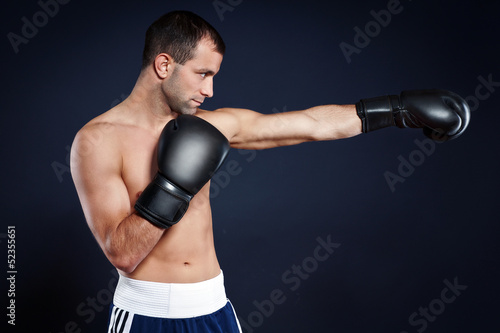 Photo: Boxer Boxer