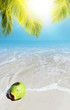 Coconut on a sand