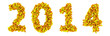 Year 2014 by pills