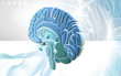 Illustration: Brain Brain