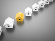 Houses concept one is different