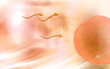 Illustration: Sperm Sperm