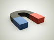 Magnet