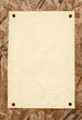 Old blank paper on outdoor noticeboard.