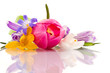 spring flowers