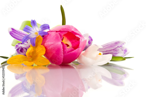 Photo: spring flowers spring flowers