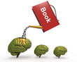 Drizzle with brain book