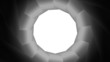 Diaphragm