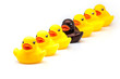 fila de patos