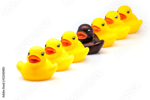 Photo: fila de patos fila de patos