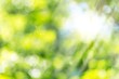 Nature Glow_Bokeh and sun...
