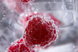 Photo: Gin tonic cocktail with raspberry and ice macro closeup Gin tonic cocktail with raspberry and ice macro closeup