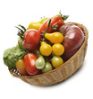 Fresh Tomatoes