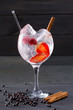 Gin tonic cocktail with strawberries cinnamon and juniper