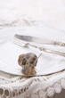 Foto: Lunch of Snails Lunch of Snails