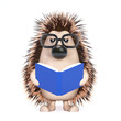 Cute hedgehog is reading a good book