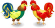 cock