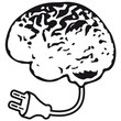 Brain Plug