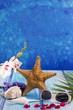 starfish seashells with hyacinth flower and white orchid