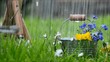 Sommerregen