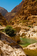 the wadi shab with emerald green water