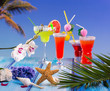 Cocktails margarita sex on the beach colorful tropical