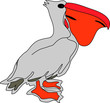 pellicano