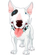 Vector: Bull Terrier Bull Terrier