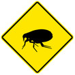 Illustration: Sinal de aviso - pulgas Sinal de aviso - pulgas