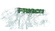 Frisch