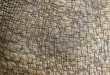 Rhino skin background