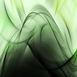 Illustration: Abstract gentle dark green waves on white background Abstract gentle dark green waves on white background