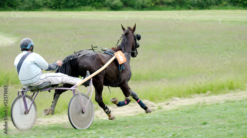 Photo: Course Hippique #56 Course Hippique #56