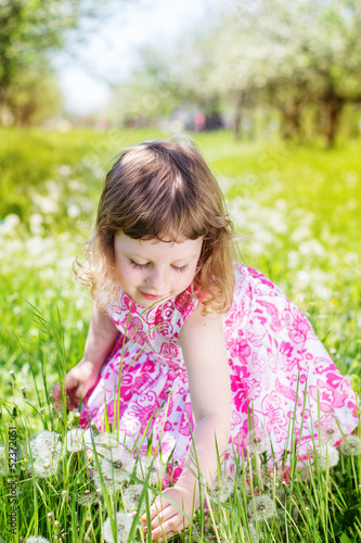 Photo: child girl at dandelion meadow in summer child girl at dandelion meadow in summer