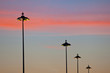 Straßenlampen vor Sonnenaufgang