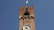 Palazzo dei Trecento, Treviso