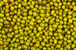 close up of mung bean background