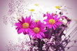 Photo: flowers flowers
