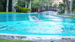 Video: Young man starting swim in the swimming-pool Young man starting swim in the swimming-pool