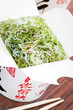 Shirataki noodles in spicy sauce, selective focus