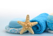 Wellness Blau Seestern Mediteran