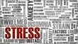 Stress Management of a Stressed Person as Concept