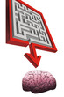 Arrow pointing to brain.